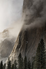 Wall Mural - view of el capitan in yosemite national park