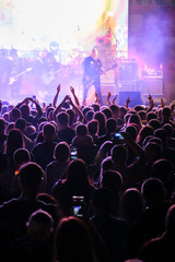 Fans at live rock music concert cheering