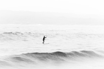Wall Mural - man paddleboarding in sea