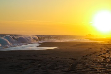 Wall Mural - scenic view of beach during sunrise