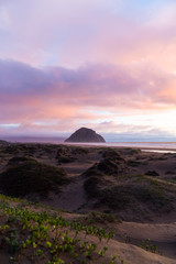 Wall Mural - view of beach during sunrise