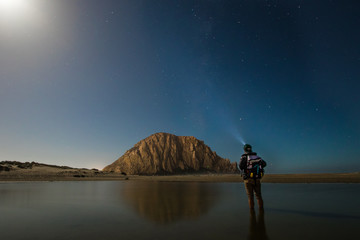 Wall Mural - rear view of man stargazing at morro rock beach