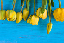 Frame Of Yellow Tulips On Blue Background. Space For Text, Flat Lay