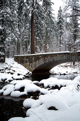 View of bridge over river with trees in forest in winter