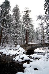 Wall Mural - yosemite in winter