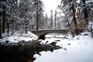 Wall Mural - view of bridge over river with trees in forest in winter