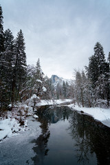 Wall Mural - half dome