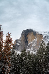 Wall Mural - low angle view of half dome against sky