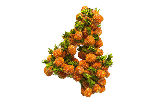 Number 4 from pineapples, 3D rendering