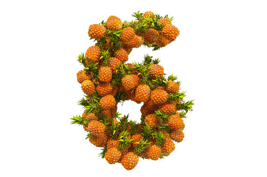 Number 6 from pineapples, 3D rendering