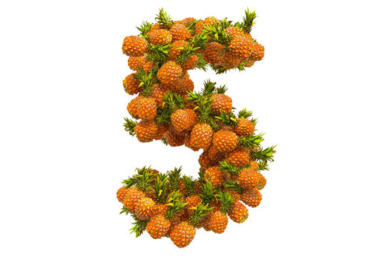 Number 5 from pineapples, 3D rendering