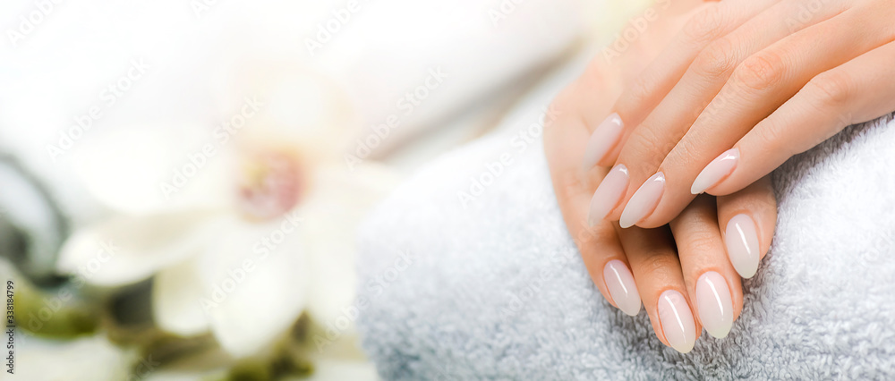 Manicured nails and Soft hands skin wide banner. Beauty treatment. - obrazy, fototapety, plakaty 