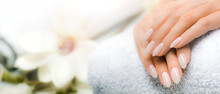 Manicured Nails And Soft Hands Skin Wide Banner. Beauty Treatment.