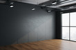 © Who is Danny - Modern hall interior with empty gray wall