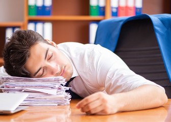 Young employee working in the office