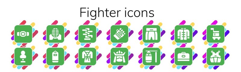 Poster - fighter icon set