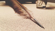 Close-up Of Quill Pen On Table