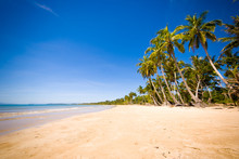 Coconut Palm Trees At Beach Against Sky
