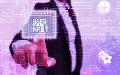Poster - Word writing text User Input. Business photo showcasing Any information or data that is sent to a computer for processing