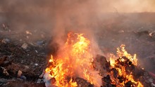 Destruction Of Garbage. Burning Garbage. Concern For The Environment. Environmental Pollution.