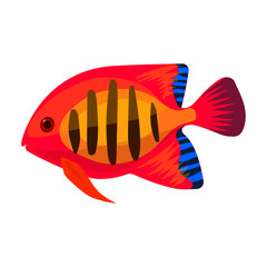 Wall Mural - Tropical fish vector icon.Cartoon vector icon isolated on white background tropical fish.