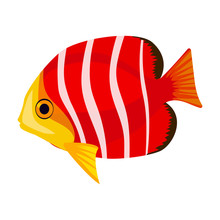 Tropical Fish Vector Icon.Cartoon Vector Icon Isolated On White Background Tropical Fish.
