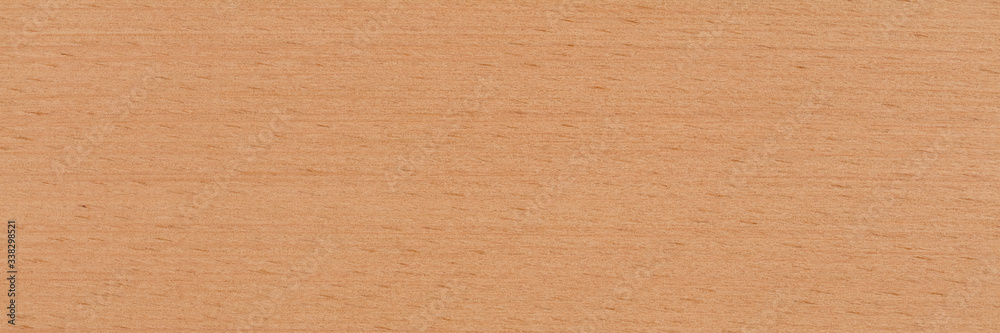 Natural beech veneer background in warm beige color. Natural wood texture, pattern of a long veneer sheet, plank. - obrazy, fototapety, plakaty 
