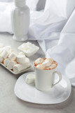 Fototapeta Dinusie - Hot chocolate with marshmallows.