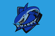 Hand drawn sport team mascot logo design. T-shirt print illustration. Shark.