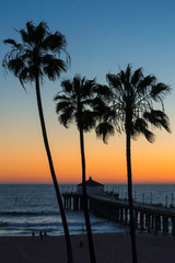 Wall Mural - Palm trees over the tropical beach at sunset, Los Angeles, California