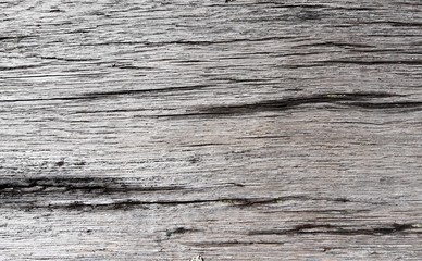 Old wood texture