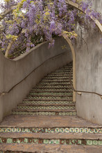 Stairs And Wisteria