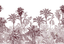 Seamless Border Vintage Etching Tropical Jungle Pattern, Toile Tropics Wallpaper Design, High End Palms Brown On White Background