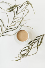 Wall Mural - Stringy green plant and coffee cup on white background.