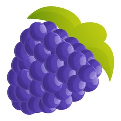 Poster - Delicious blackberry icon. Cartoon of delicious blackberry vector icon for web design isolated on white background