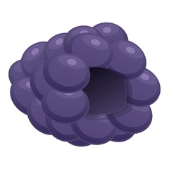 Poster - Natural blackberry icon. Cartoon of natural blackberry vector icon for web design isolated on white background