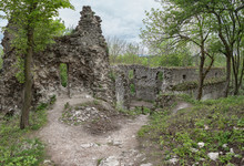 Rubble Of Old Dobra Voda Castle (build In 13th Century) In Slovak Republic. Western Slovakia. Ruin Of Ancient Castle In Forest. Wreck Of Old Stronghold. Remains Of Walls, Towers And Fortification.
