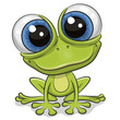 Cartoon Frog isolated on a white background