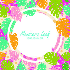 Wall Mural - Monstera leaves background, with Blue, green, pink and yellow  monstera leaf