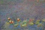 Fototapeta Sawanna - Claude Monet painting featured on large painting in Musée de l'Orangerie, Paris, France - shot in August 2015