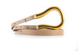 Female leather belt with a large gold buckle on a white background