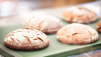 Poster - Bakery concept. Fresh fragrant bread close-up