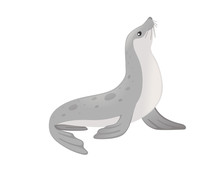 Cute Seal Cartoon Animal Design Flat Vector Illustration Isolated On White Background