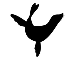 Wall Mural - black silhouette cute seal cartoon animal design flat vector illustration isolated on white backgrou