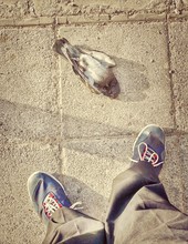 Low Section Of Man Standing By Dead Bird On Sidewalk