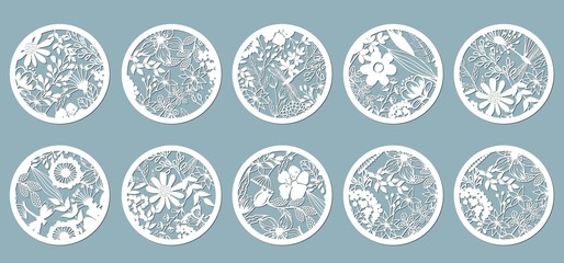 Set. Chamomile, Echinacea, dandelion, chrysanthemum, noble hepatica, stokesia, Lily, leaves, grass. Panel for registration of the decorative surfaces circle, mugs,. Abstract circles, balls. Vector 