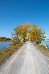 Sticker - Bike path lines with trees going over a lake