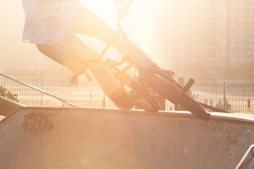 Canvas Print - BMX cyclist doing tricks in a bowl