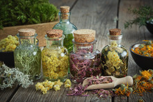 Bottles Of Tincture Or Infusion Of Healthy Medicinal Herbs And Dried Healing Plants And Flowers On Table. Herbal Medicine.