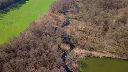 Wall Mural - Flight over small river and pond in Poland. 4k Aerial video.